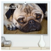 Cover-Bild zum Titel 'Mops 2026 (hochwertiger Premium Wandkalender 2026 DIN A2 quer), Kunstdruck in Hochglanz' von 'Beate Zoellner'