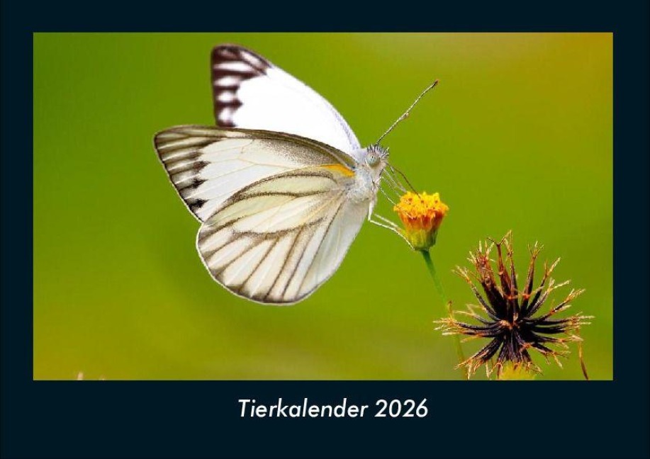 Tierkalender 2026 Fotokalender DIN A4 - Tobias Becker