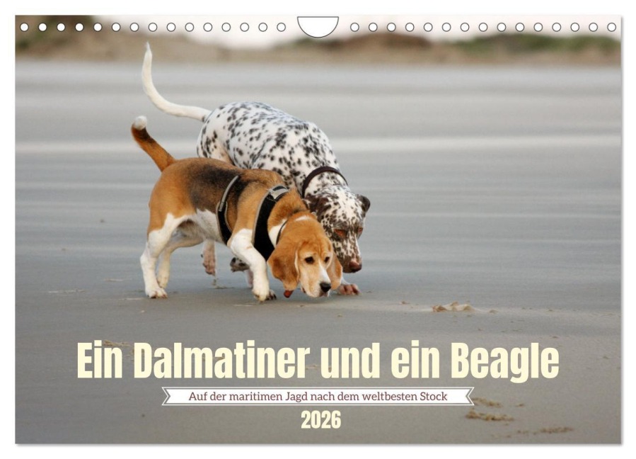 Ein Dalmatiner und ein Beagle - Auf der maritimen Jagd nach dem weltbesten Stock (Wandkalender 2026 DIN A4 quer), CALVENDO Monatskalender - Daniela Tapper