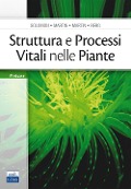 Cover-Bild zum Titel 'Struttura e processi vitali nelle piante' von 'Eldra P. Solomon, C. E. Martin, Diana W. Martin, Linda R. Berg'