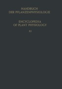 Cover-Bild zum Titel 'Heterotrophie / Heterotrophy' von ''