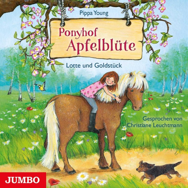 Ponyhof Apfelblüte. Lotte und Goldstück [Band 3] - Pippa Young