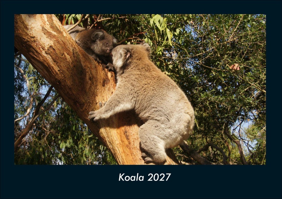 Koala 2027 Fotokalender DIN A4 - Tobias Schmitt, Kevin Heber