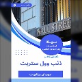 Cover-Bild zum Titel 'Summary of Wall Street Wolf Book' von 'Jordan Pelvort'