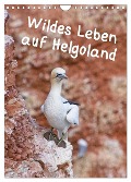 Wildes Leben auf Helgoland (Wandkalender 2025 DIN A4 hoch), CALVENDO Monatskalender - Kathrin Voss