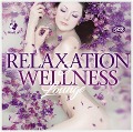 Cover-Bild zum Titel 'Relaxation & Wellness Lounge' von 'Various'