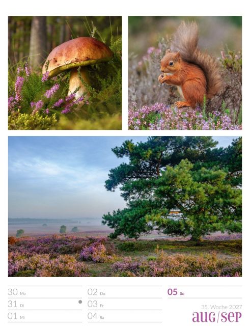 InsideView 39