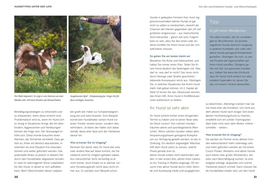InsideView 3