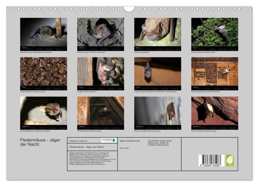 InsideView 5