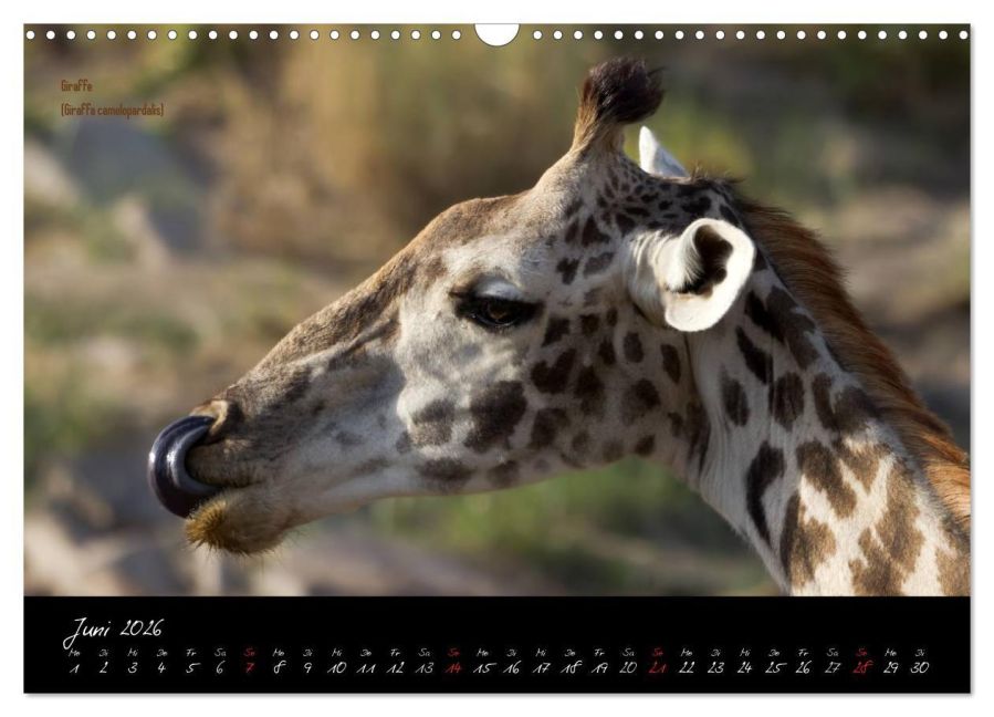 InsideView 11