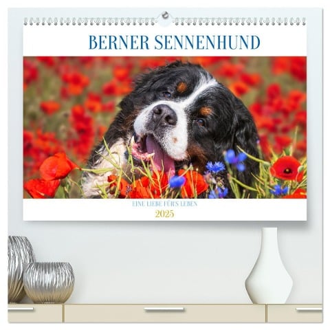 Berner Sennenhund - Eine Liebe für¿s Leben (hochwertiger Premium Wandkalender 2025 DIN A2 quer), Kunstdruck in Hochglanz - Sigrid Starick