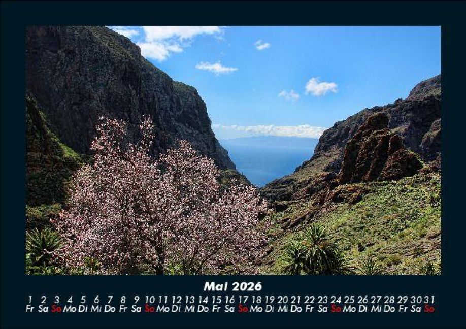 InsideView 9