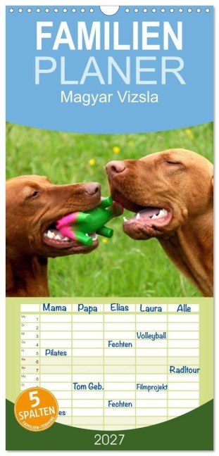 Familienplaner 2027 - Magyar Vizsla mit 5 Spalten (Wandkalender, 21 x 45 cm) CALVENDO - Kerstin Grüttner