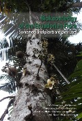 Bioknowledgy of the Ecuadorian Flora. Some medicinal plants and their uses. - Omar Vacas Cruz, Joongku Lee, Changyoung Lee, Hyun Jeong Kim, Stephany Villota