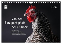 Cover-Bild zum Titel 'Von der Einzigartigkeit der Hühner 2026 (Wandkalender 2026 DIN A4 quer), CALVENDO Monatskalender' von 'Birte Peters'