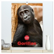 Cover-Bild zum Titel 'Gorillas (hochwertiger Premium Wandkalender 2026 DIN A2 hoch), Kunstdruck in Hochglanz' von 'Elisabeth Stanzer'