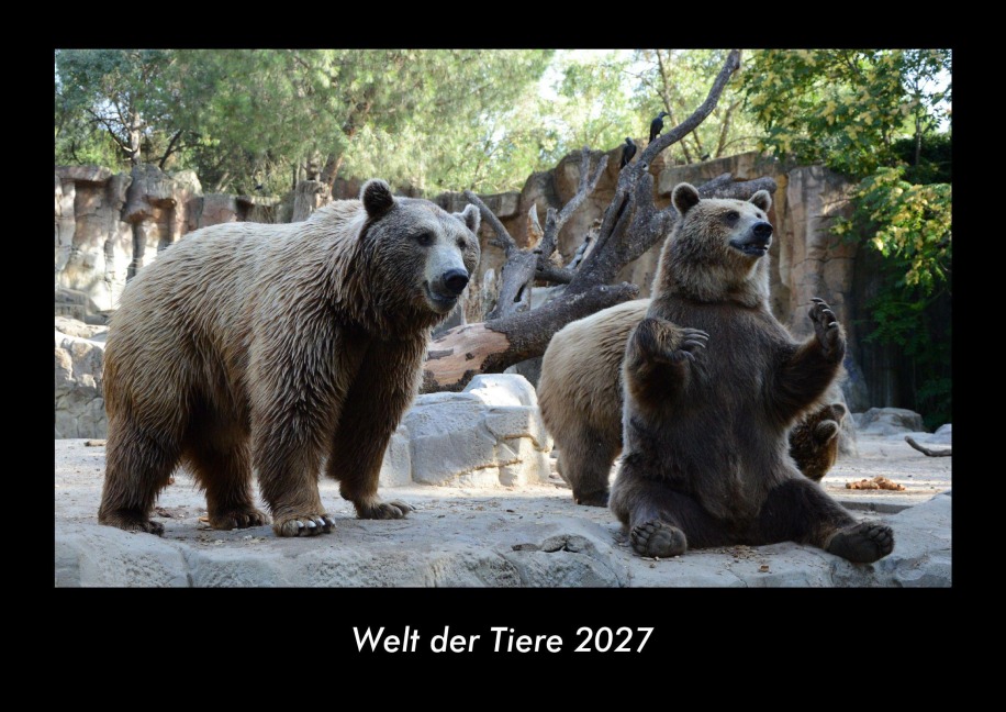 Welt der Tiere 2027 Fotokalender DIN A3 - Tobias Schmitt, Kevin Heber