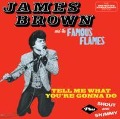 Tell Me What You'r Gonna Do/+ - James And The Famous Flames Brown