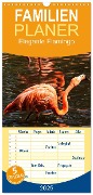 Familienplaner 2025 - Elegante Flamingo mit 5 Spalten (Wandkalender, 21 x 45 cm) CALVENDO - Kattobello Kattobello