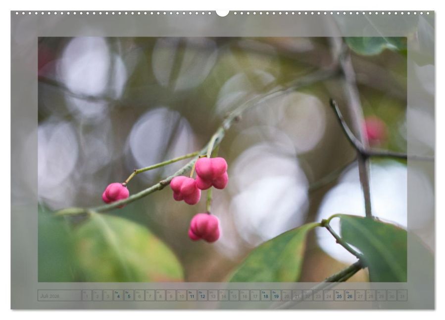 InsideView 12