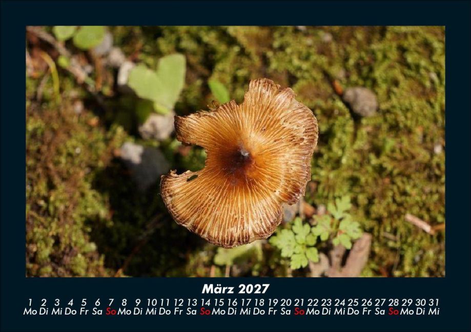 InsideView 7