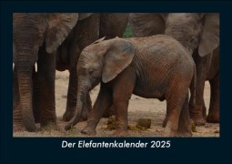 Cover-Bild zum Titel 'Der Elefantenkalender 2025 Fotokalender DIN A5' von 'Tobias Becker'