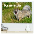 Der Wolfsspitz (hochwertiger Premium Wandkalender 2025 DIN A2 quer), Kunstdruck in Hochglanz - S. Werner-Ney