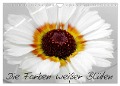 Die Farben weißer Blüten (Wandkalender 2025 DIN A4 quer), CALVENDO Monatskalender - Birgit Knodt