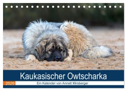 Cover-Bild zum Titel 'Kaukasischer Owtscharka (Tischkalender 2026 DIN A5 quer), CALVENDO Monatskalender' von 'Annett Mirsberger'