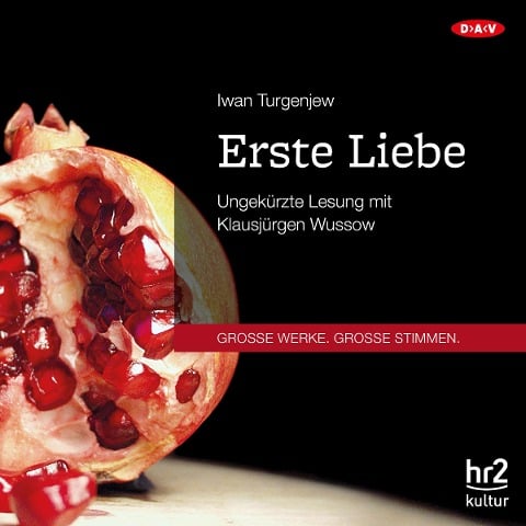 Erste Liebe - Iwan Turgenjew