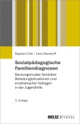 Cover-Bild zum Titel 'Sozialpädagogische Familiendiagnosen' von 'Stephan Cinkl, Uwe Uhlendorff'