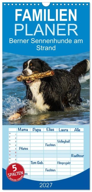 Familienplaner 2027 - Berner Sennenhunde am Strand mit 5 Spalten (Wandkalender, 21 x 45 cm) CALVENDO - Sigrid Starick