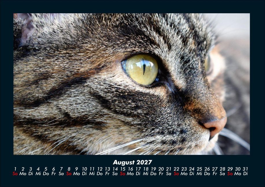 InsideView 12