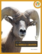 Cover-Bild zum Titel 'El Borrego Cimarrón' von 'Nell Musolf'