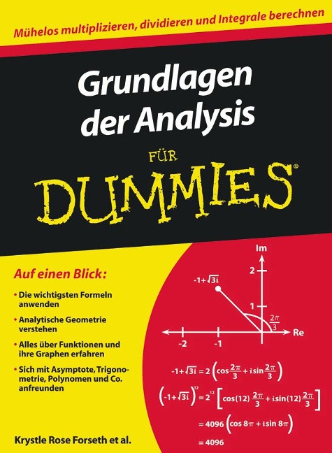 Grundlagen der Analysis für Dummies - Krystle Rose Forseth, Christopher Burger, Michelle Rose Gilman, Deborah Rumsey, Mark Ryan