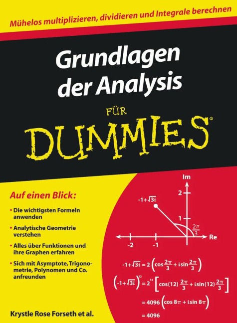 Grundlagen der Analysis für Dummies - Krystle Rose Forseth, Christopher Burger, Michelle Rose Gilman, Deborah Rumsey, Mark Ryan