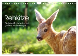 Cover-Bild zum Titel 'Rehkitze, zierliche Schönheiten mit großen, sanften Augen (Wandkalender 2026 DIN A4 quer), CALVENDO Monatskalender' von 'Sabine Löwer'