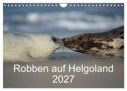 Cover-Bild zum Titel 'Robben auf Helgoland 2027 (Wandkalender 2027 DIN A4 quer), CALVENDO Monatskalender' von 'Stefan Leimer'