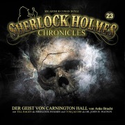 Cover-Bild zum Titel 'Der Geist von Carnington Hall' von 'Anke Bracht'