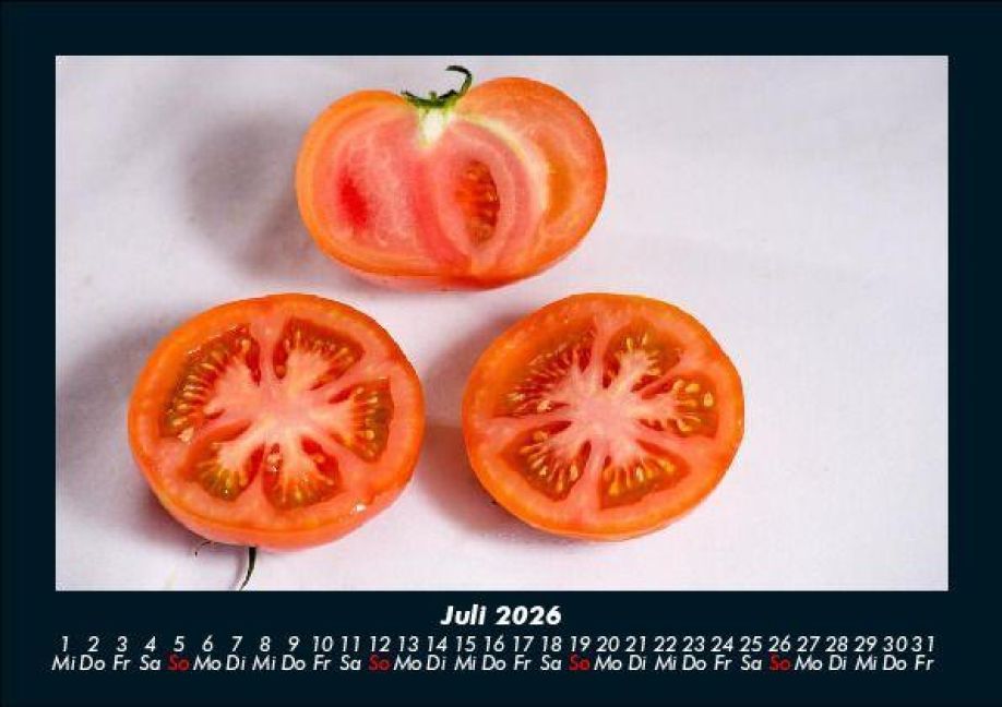 InsideView 11