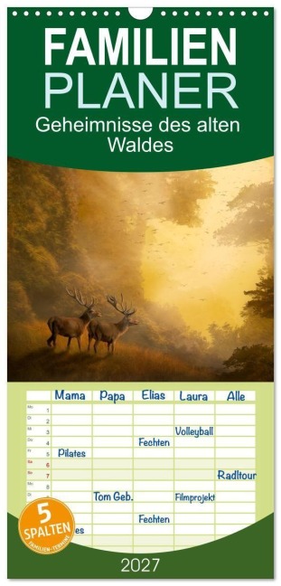 Familienplaner 2027 - Geheimnisse des alten Waldes mit 5 Spalten (Wandkalender, 21 x 45 cm) CALVENDO - 