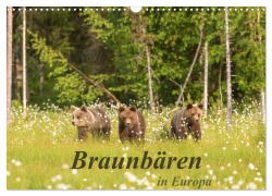 Cover-Bild zum Titel 'Braunbären in Europa (Wandkalender 2026 DIN A3 quer), CALVENDO Monatskalender' von 'Christian Dorn'