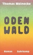 Cover-Bild zum Titel 'Odenwald' von 'Thomas Meinecke'