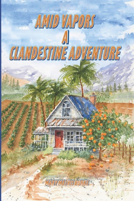 Amid Vapors A Clandestine Adventure - Mary Mathis Burke