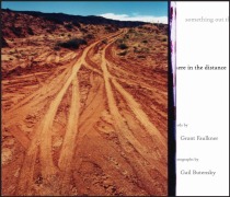 Cover-Bild zum Titel 'Something Out There in the Distance' von 'Grant Faulkner'