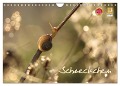 Schneckchen (Wandkalender 2025 DIN A4 quer), CALVENDO Monatskalender - Judith Doberstein