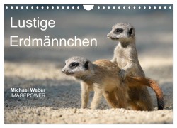 Cover-Bild zum Titel 'Lustige Erdmännchen (Wandkalender 2026 DIN A4 quer), CALVENDO Monatskalender' von 'Michael Weber'