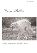 Cover-Bild zum Titel 'Barsoi in Bildern' von 'Daniela Wille'
