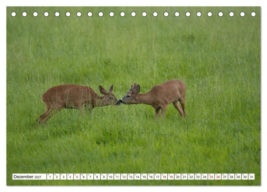 InsideView 4