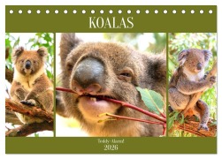 Koalas. Teddy-Alarm! (Tischkalender 2026 DIN A5 quer), CALVENDO Monatskalender - Rose Hurley